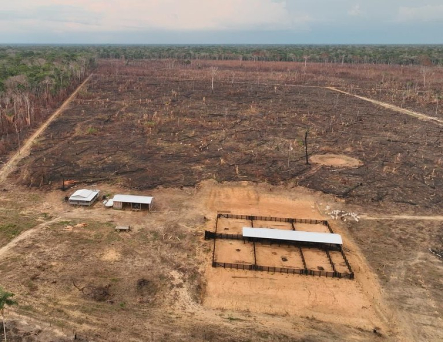 Operação da PF combate desmatamentos e queimadas ilegais na Amazônia